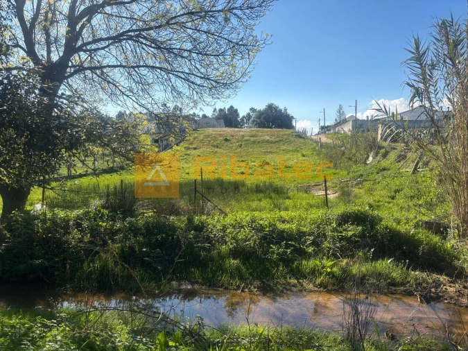 Terreno para Venda em Marinhais Foto 6