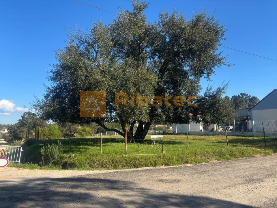 Terreno para Venda em Marinhais Foto 1