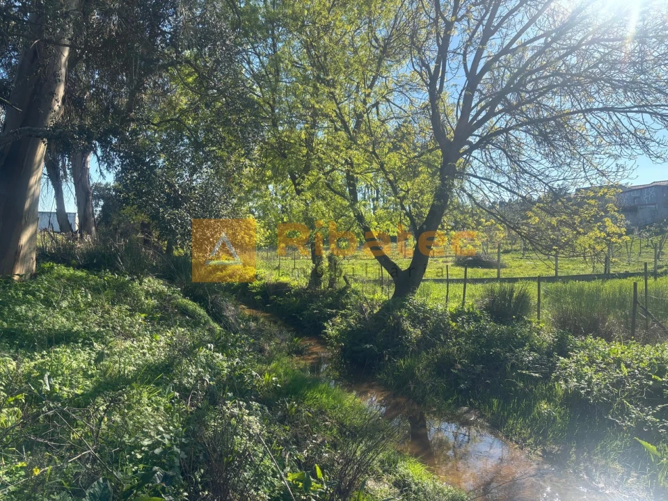 Terreno para Venda em Marinhais Foto 7