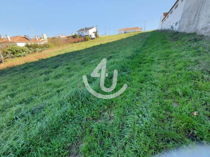 Terreno para Venda em Aljubarrota Foto 2