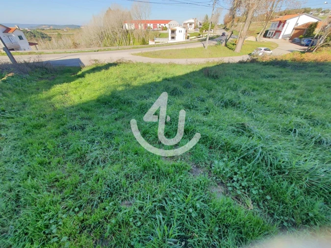 Terreno para Venda em Aljubarrota Foto 4