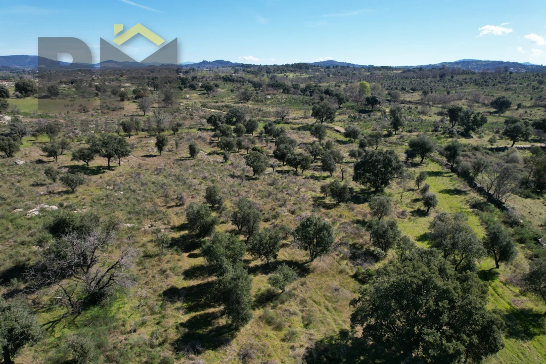 Terreno Agricola ou Rústico para Venda em Aldeia do Bispo, Águas e Aldeia de João Pires Foto 8