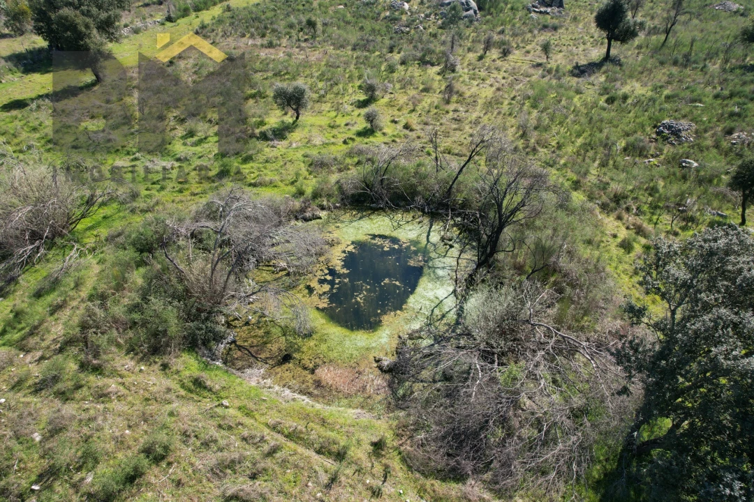 Terreno Agricola ou Rústico para Venda em Aldeia do Bispo, Águas e Aldeia de João Pires Foto 4