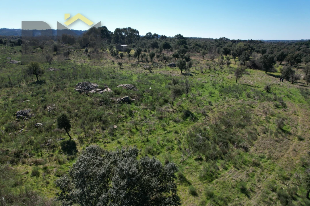 Terreno Agricola ou Rústico para Venda em Aldeia do Bispo, Águas e Aldeia de João Pires Foto 7