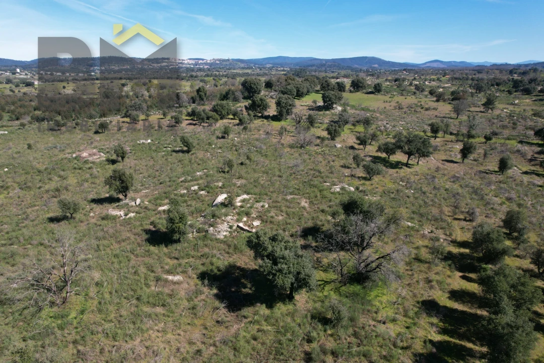 Terreno Agricola ou Rústico para Venda em Aldeia do Bispo, Águas e Aldeia de João Pires Foto 9
