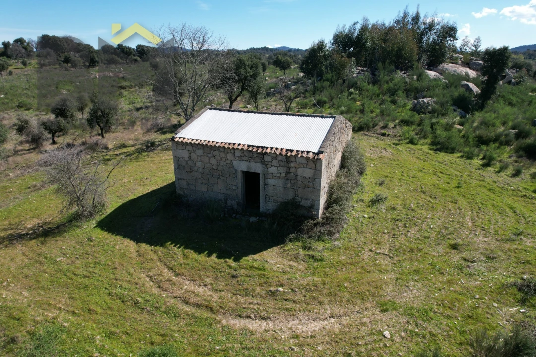 Terreno Agricola ou Rústico para Venda em Aldeia do Bispo, Águas e Aldeia de João Pires Foto 2