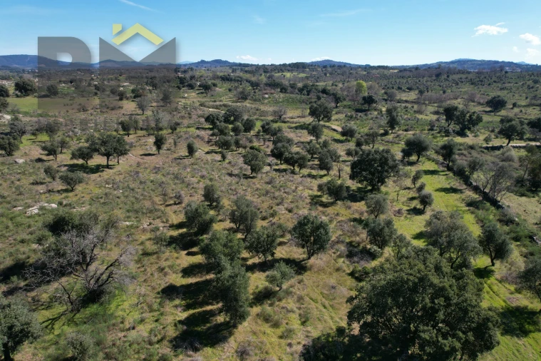 Terreno Agricola ou Rústico para Venda em Aldeia do Bispo, Águas e Aldeia de João Pires Foto 8