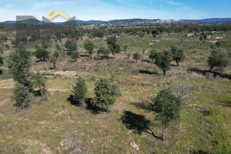 Terreno Agricola ou Rústico para Venda em Aldeia do Bispo, Águas e Aldeia de João Pires Foto 6