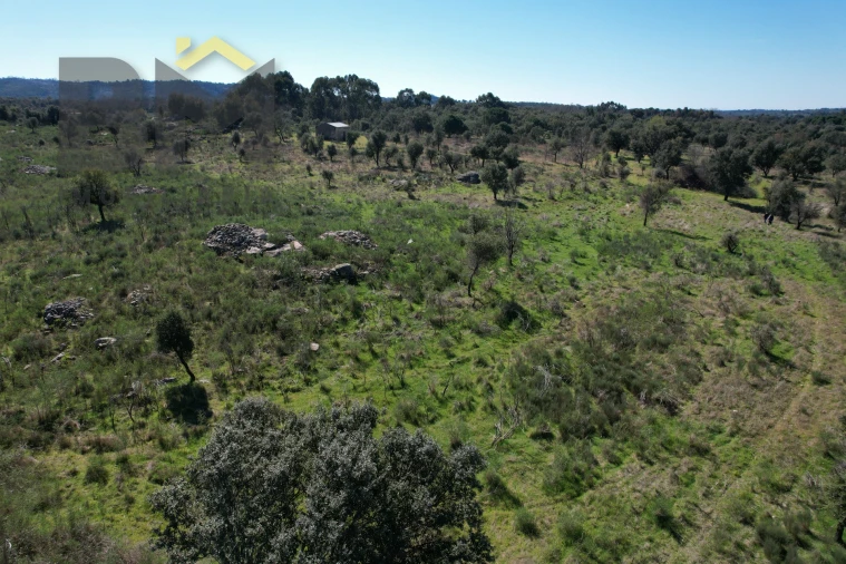 Terreno Agricola ou Rústico para Venda em Aldeia do Bispo, Águas e Aldeia de João Pires Foto 7