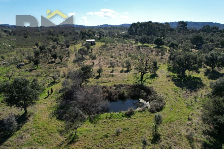 Terreno Agricola ou Rústico para Venda em Aldeia do Bispo, Águas e Aldeia de João Pires Foto 3