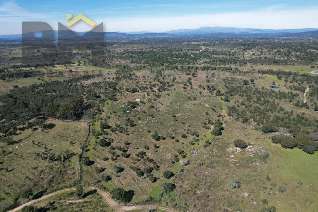 Terreno Agricola ou Rústico para Venda em Aldeia do Bispo, Águas e Aldeia de João Pires Foto 5