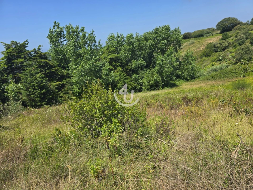 Terreno para Venda em Cela Foto 3
