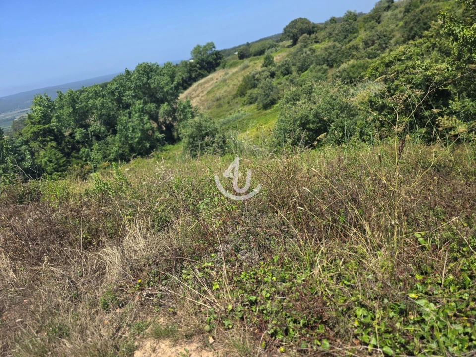 Terreno para Venda em Cela Foto 5