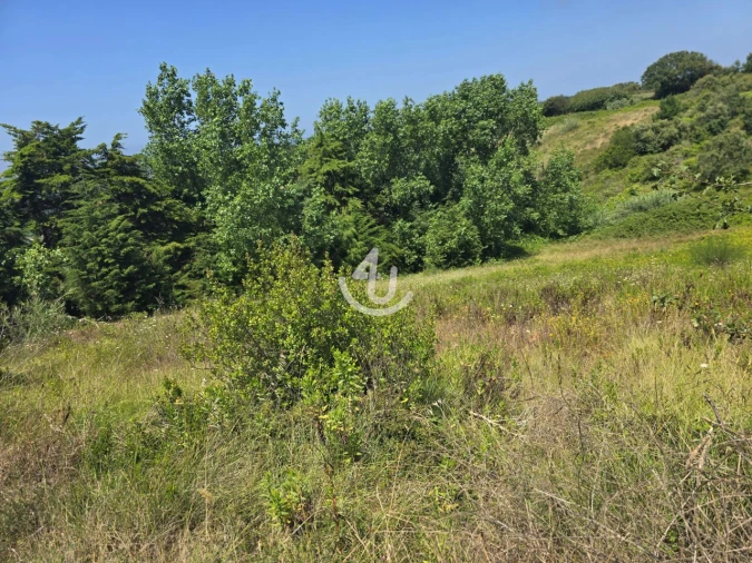 Terreno para Venda em Cela Foto 3