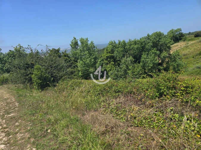 Terreno para Venda em Cela Foto 4