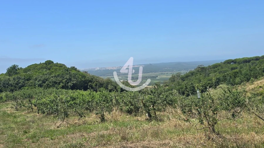 Terreno para Venda em Cela