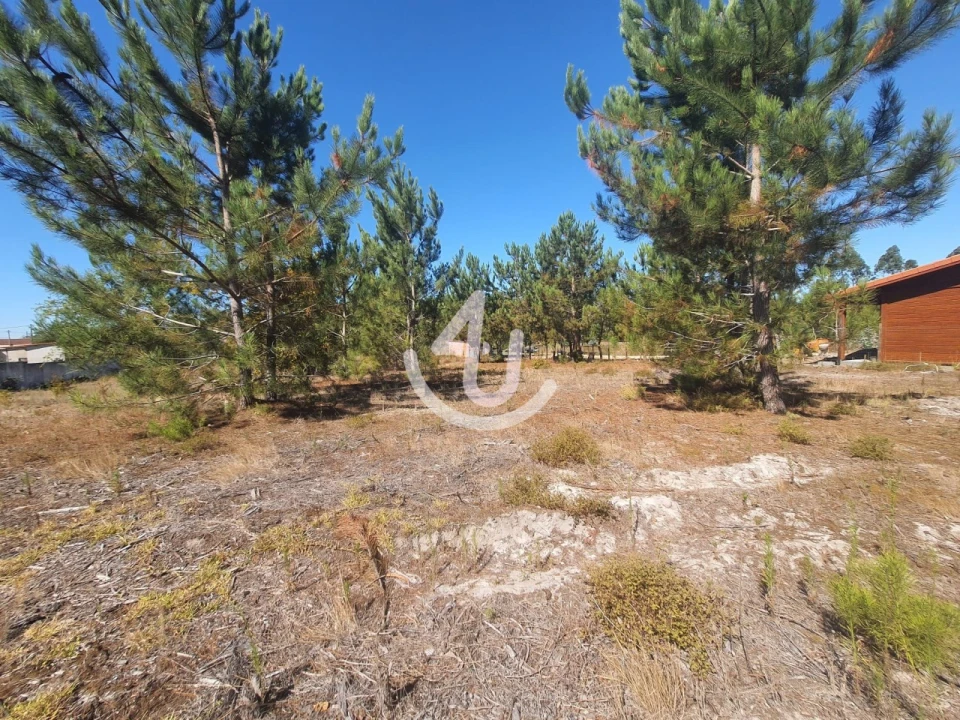 Terreno para Venda em Pataias e Martingança Foto 4