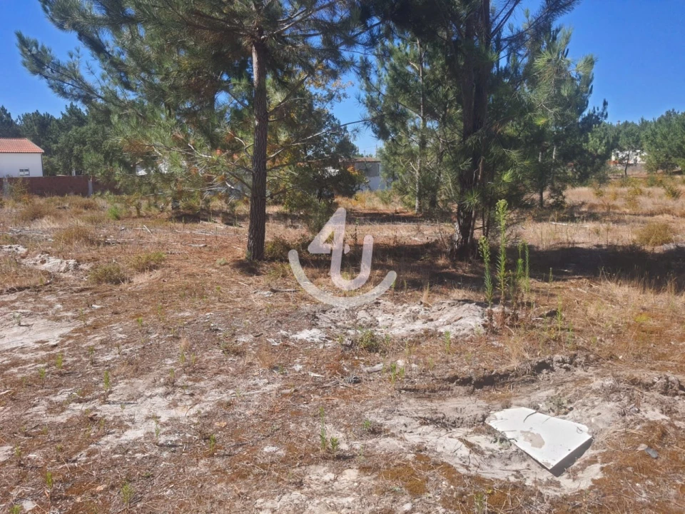 Terreno para Venda em Pataias e Martingança Foto 5