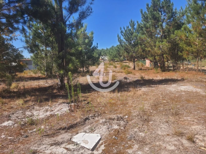 Terreno para Venda em Pataias e Martingança Foto 2