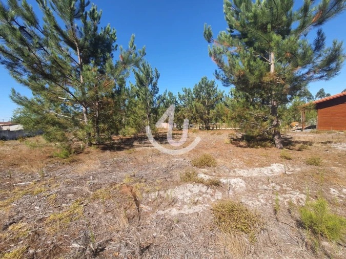 Terreno para Venda em Pataias e Martingança Foto 4