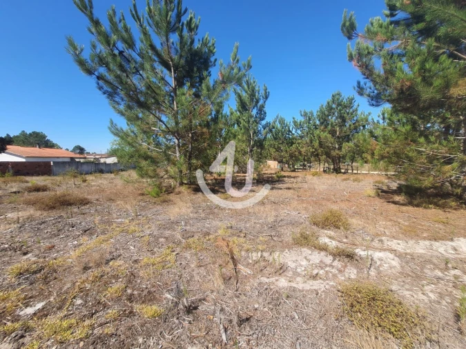 Terreno para Venda em Pataias e Martingança Foto 6