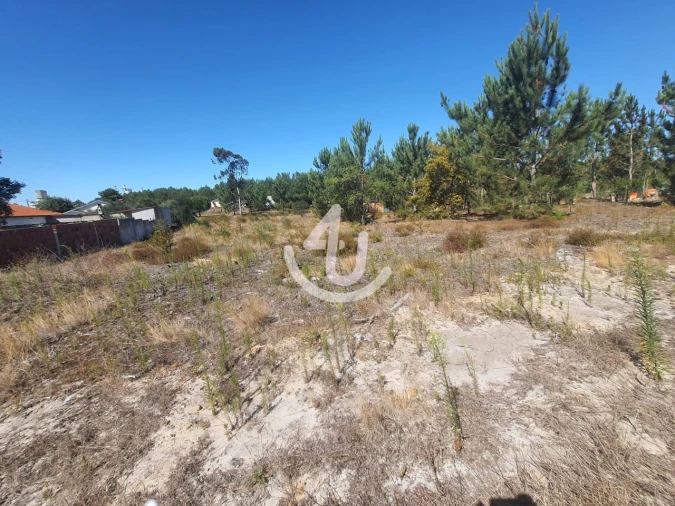 Terreno para Venda em Pataias e Martingança Foto 8