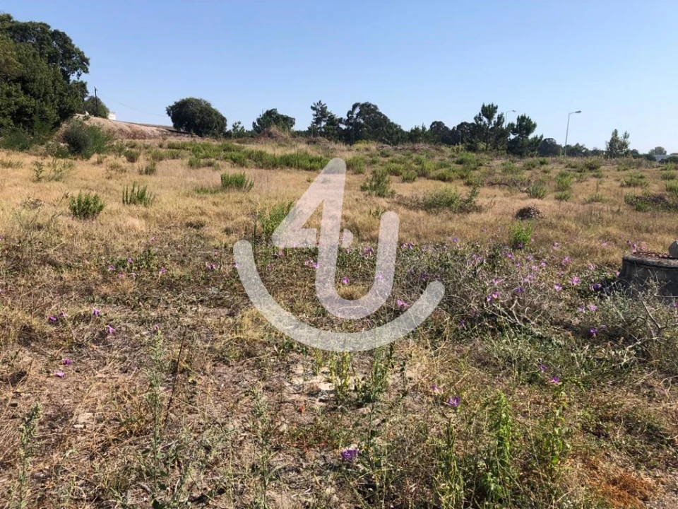 Terreno para Venda em Caldas da Rainha - Santo Onofre e Serra do Bouro Foto 2