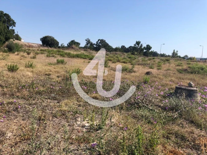 Terreno para Venda em Caldas da Rainha - Santo Onofre e Serra do Bouro Foto 3