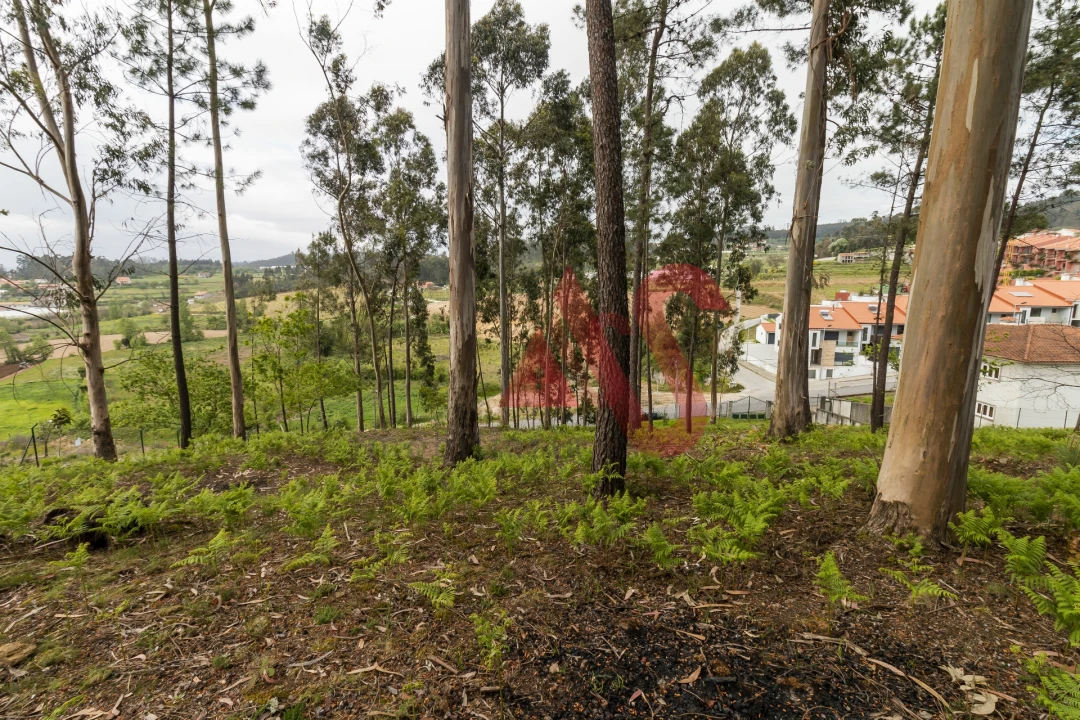 Quinta T4 para Venda em Pinheiro Foto 26