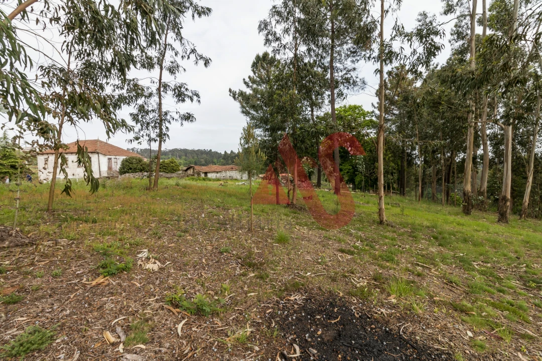 Quinta T4 para Venda em Pinheiro Foto 27