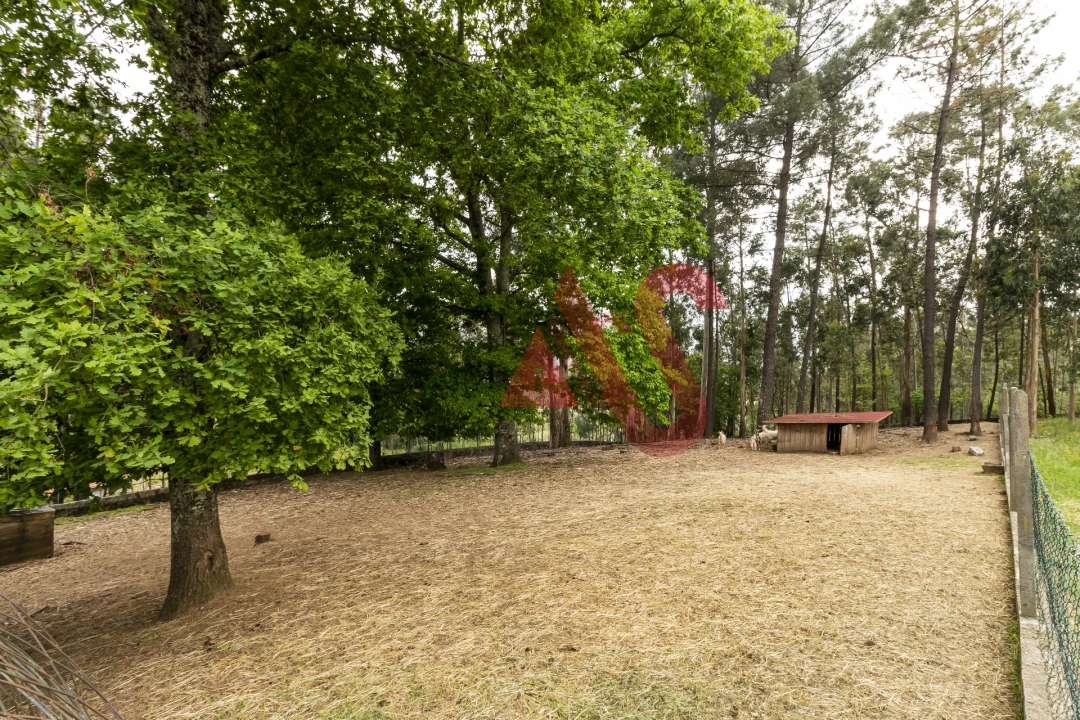 Quinta T4 para Venda em Pinheiro Foto 34