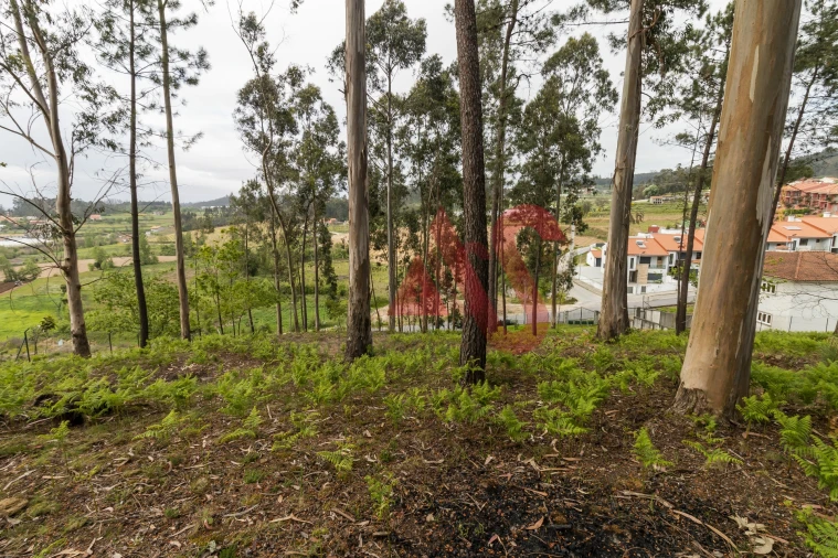 Quinta T4 para Venda em Pinheiro Foto 26