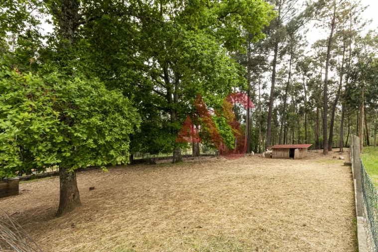 Quinta T4 para Venda em Pinheiro Foto 34