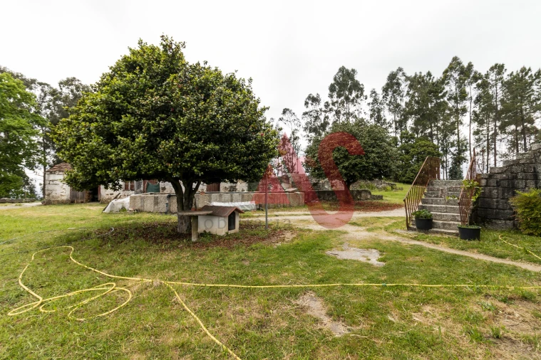 Quinta T4 para Venda em Pinheiro Foto 35