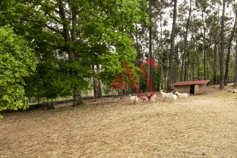 Quinta T4 para Venda em Pinheiro Foto 31