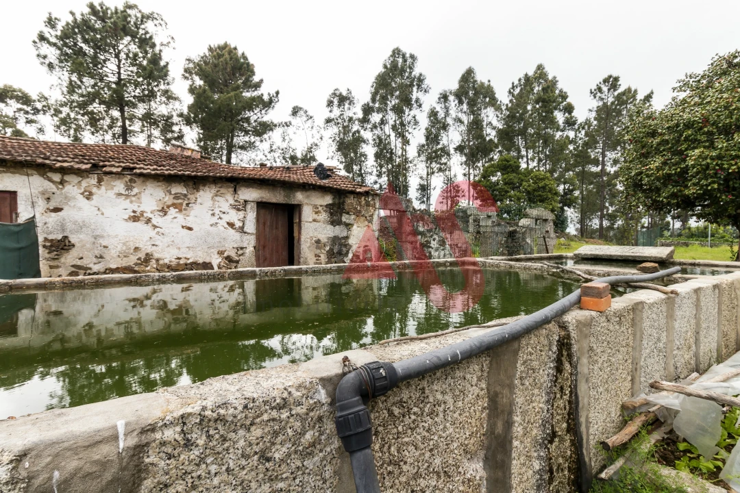 Quinta T4 para Venda em Pinheiro Foto 21