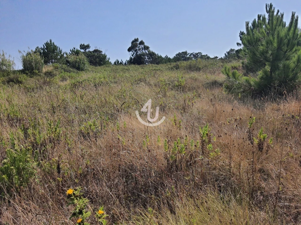 Terreno para Venda em Famalicão Foto 4