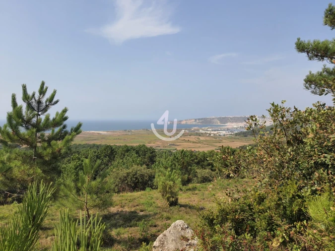 Terreno para Venda em Famalicão Foto 2