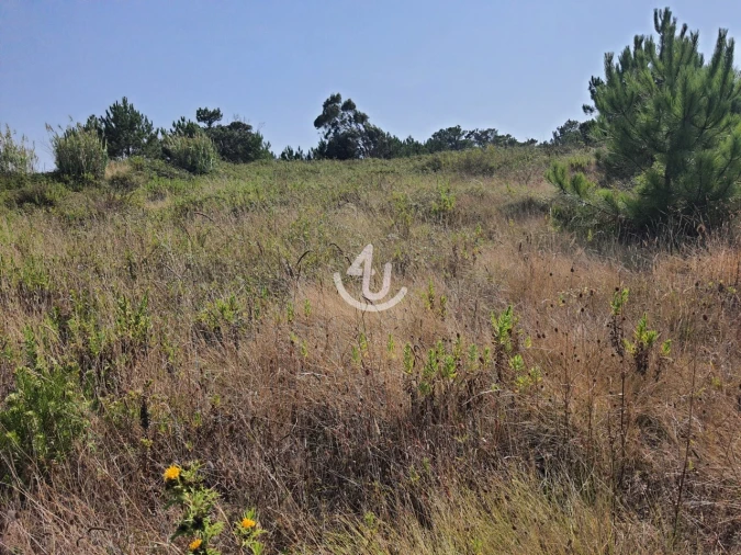 Terreno para Venda em Famalicão Foto 4