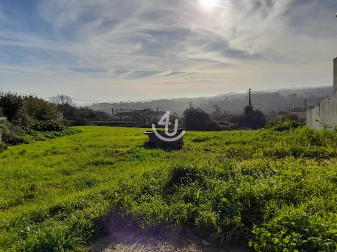 Terreno para Venda em Alcobaça e Vestiaria Foto 14