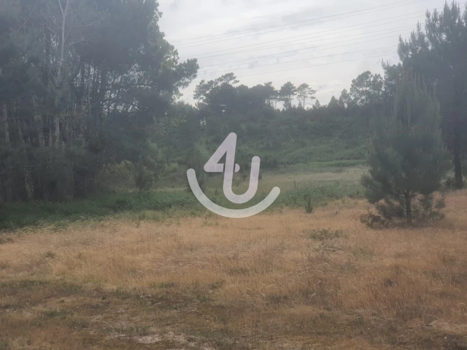 Terreno para Venda em Nazare Foto 5
