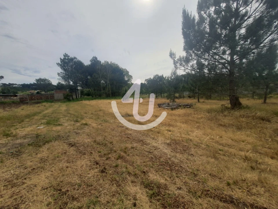 Terreno para Venda em Nazare Foto 7