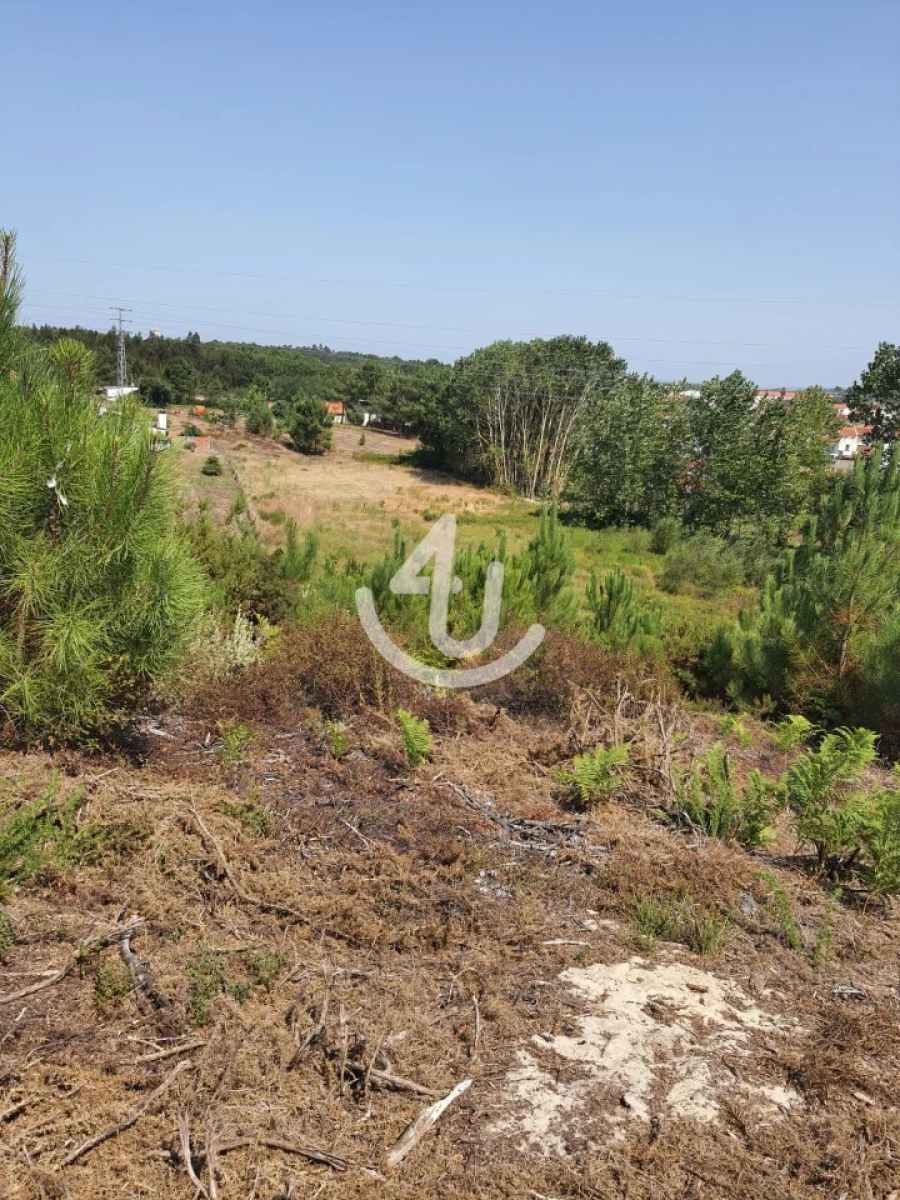 Terreno para Venda em Nazare Foto 12