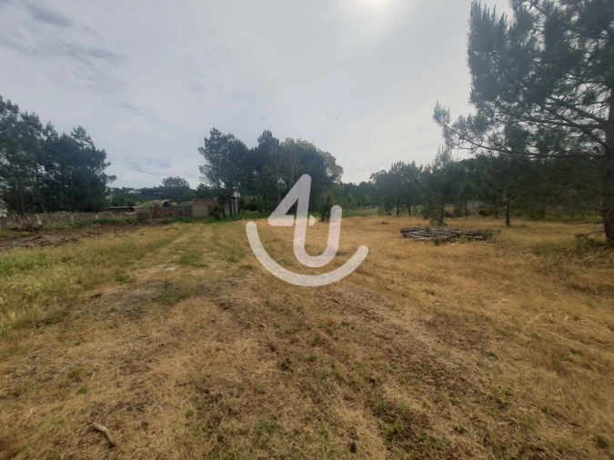 Terreno para Venda em Nazare Foto 6