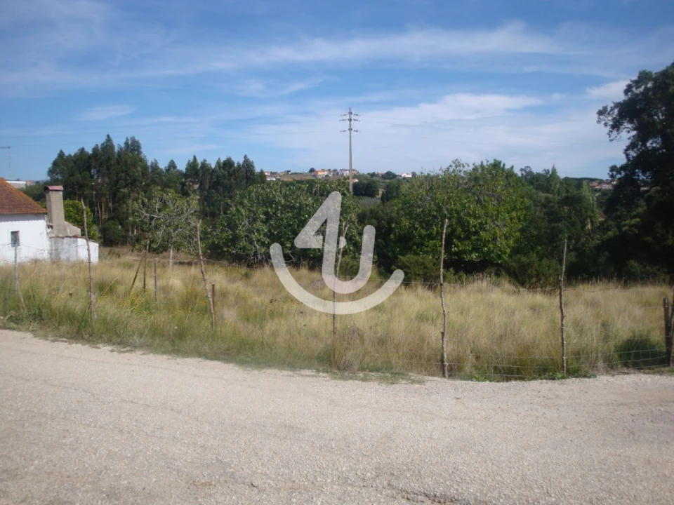 Terreno para Venda em Evora de Alcobaça Foto 5