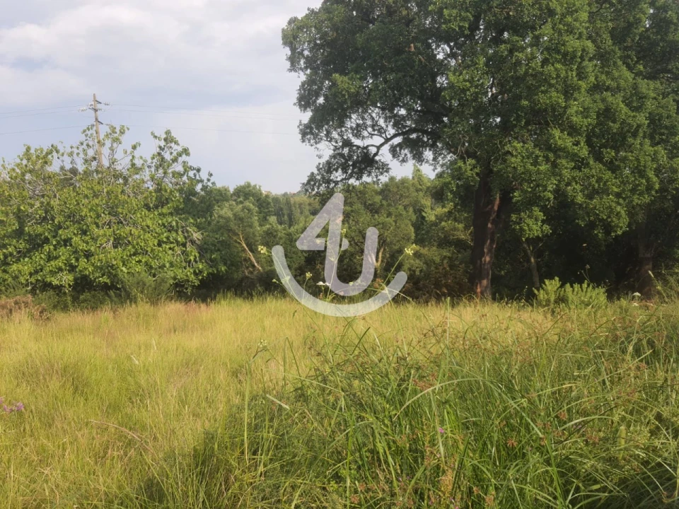 Terreno para Venda em Evora de Alcobaça Foto 2