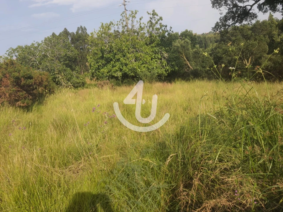 Terreno para Venda em Evora de Alcobaça Foto 3