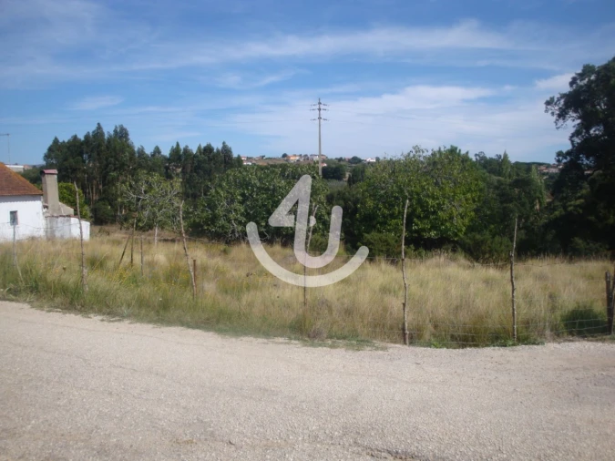 Terreno para Venda em Evora de Alcobaça Foto 5