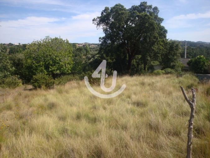 Terreno para Venda em Evora de Alcobaça Foto 6