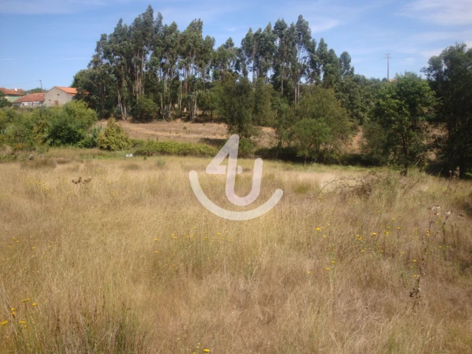 Terreno para Venda em Evora de Alcobaça Foto 8